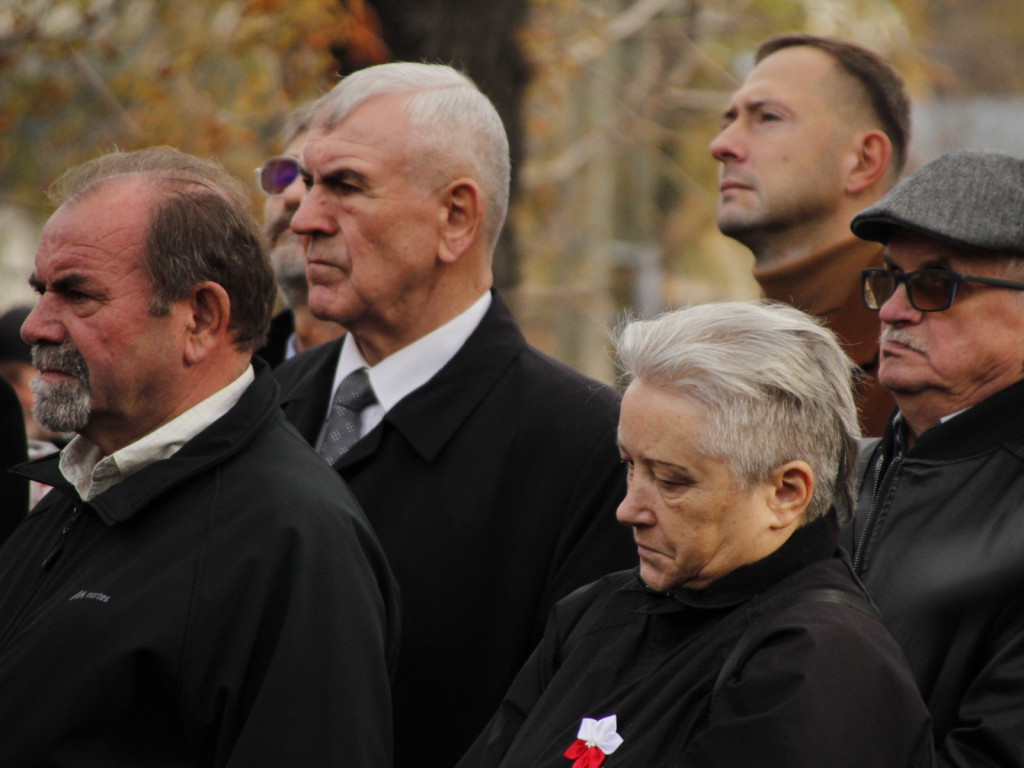 Pomnik Marszałka Piłsudskiego odsłonięty