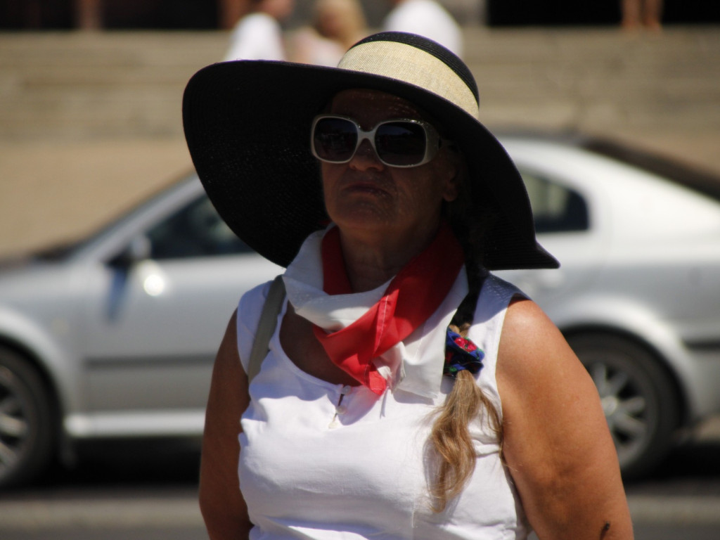 Święto Wojska Polskiego w Żyrardowie