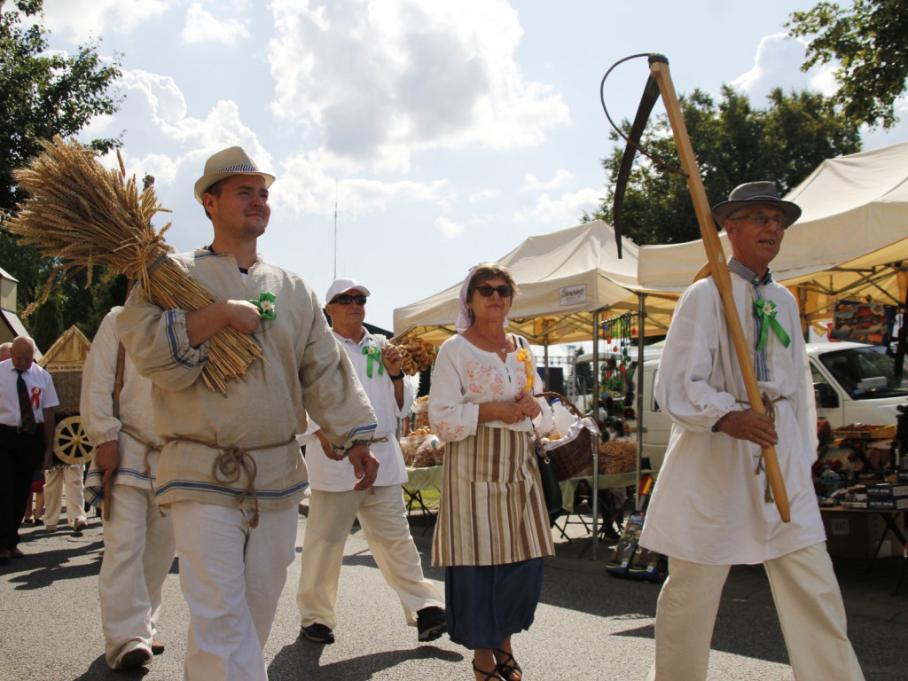 Dożynki w Wiskitkach