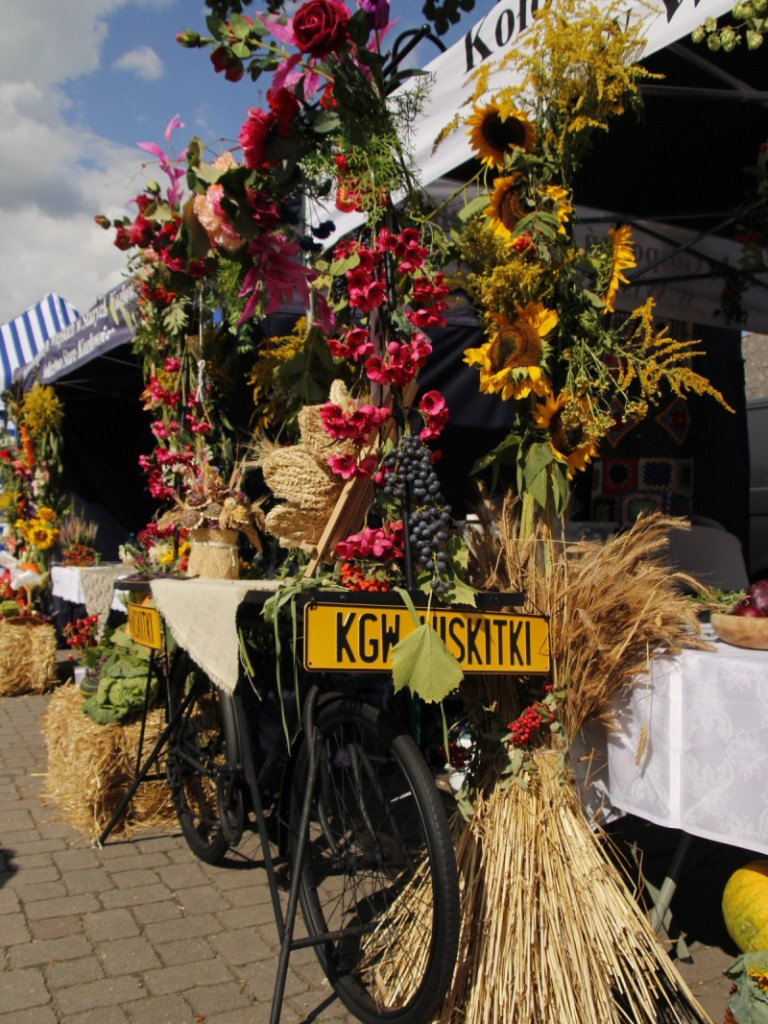 Dożynki w Wiskitkach