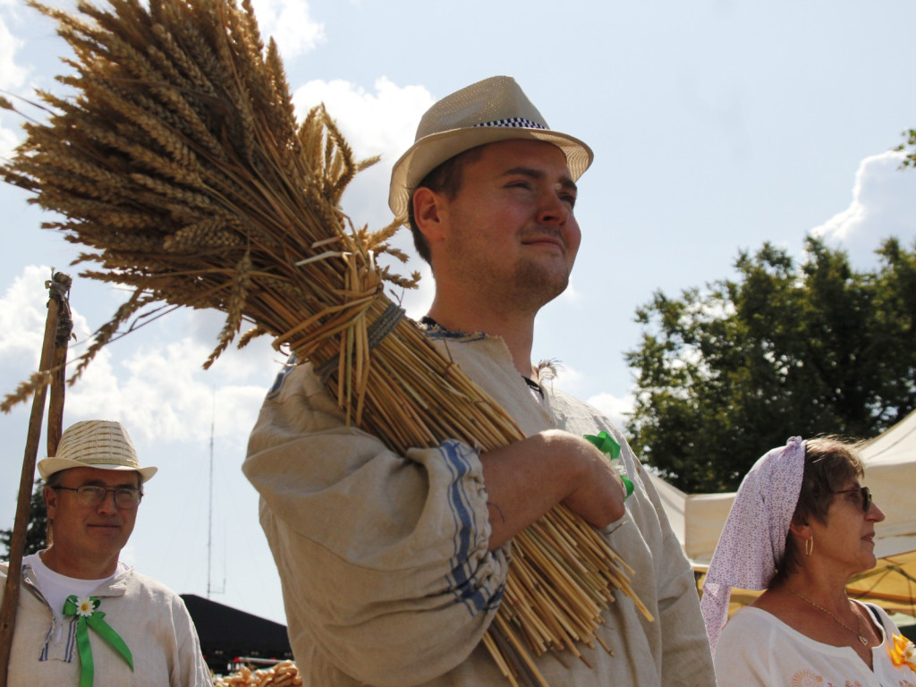 Dożynki w Wiskitkach