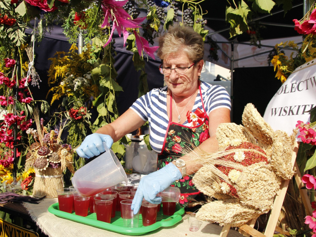 Dożynki w Wiskitkach