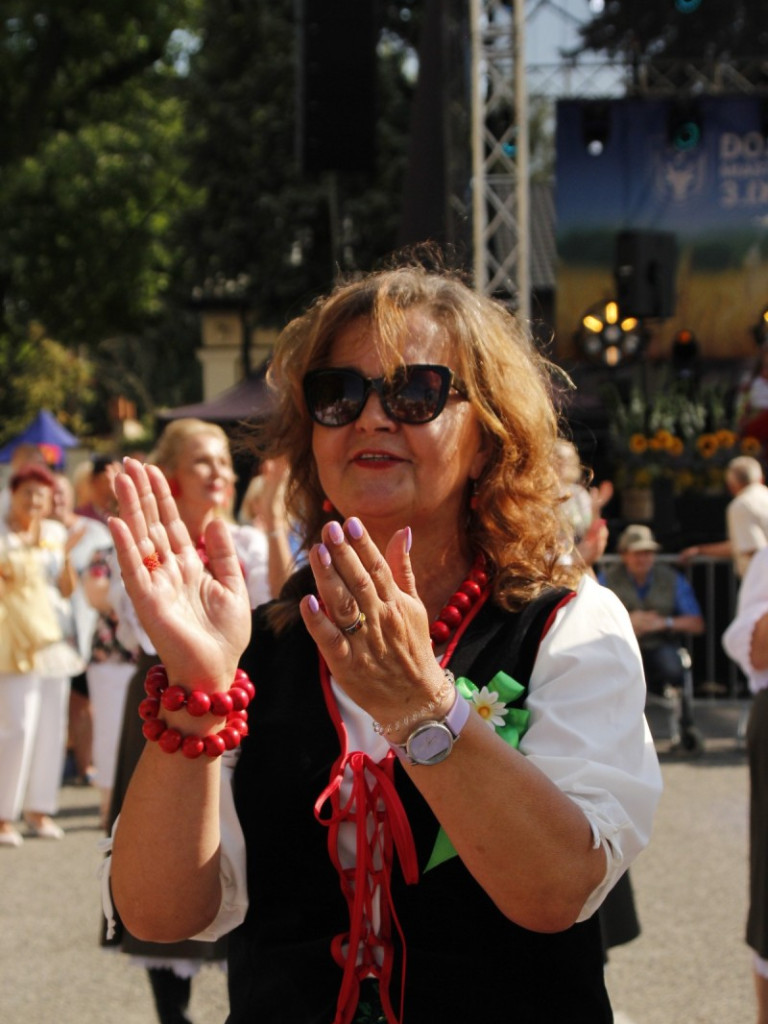 Dożynki w Wiskitkach