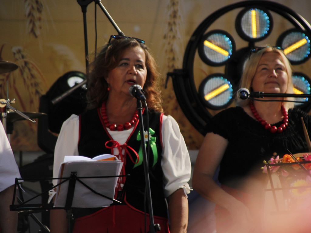 Dożynki w Wiskitkach