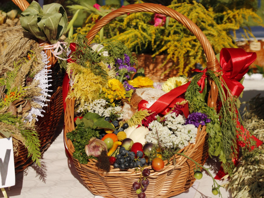 Dożynki w Wiskitkach