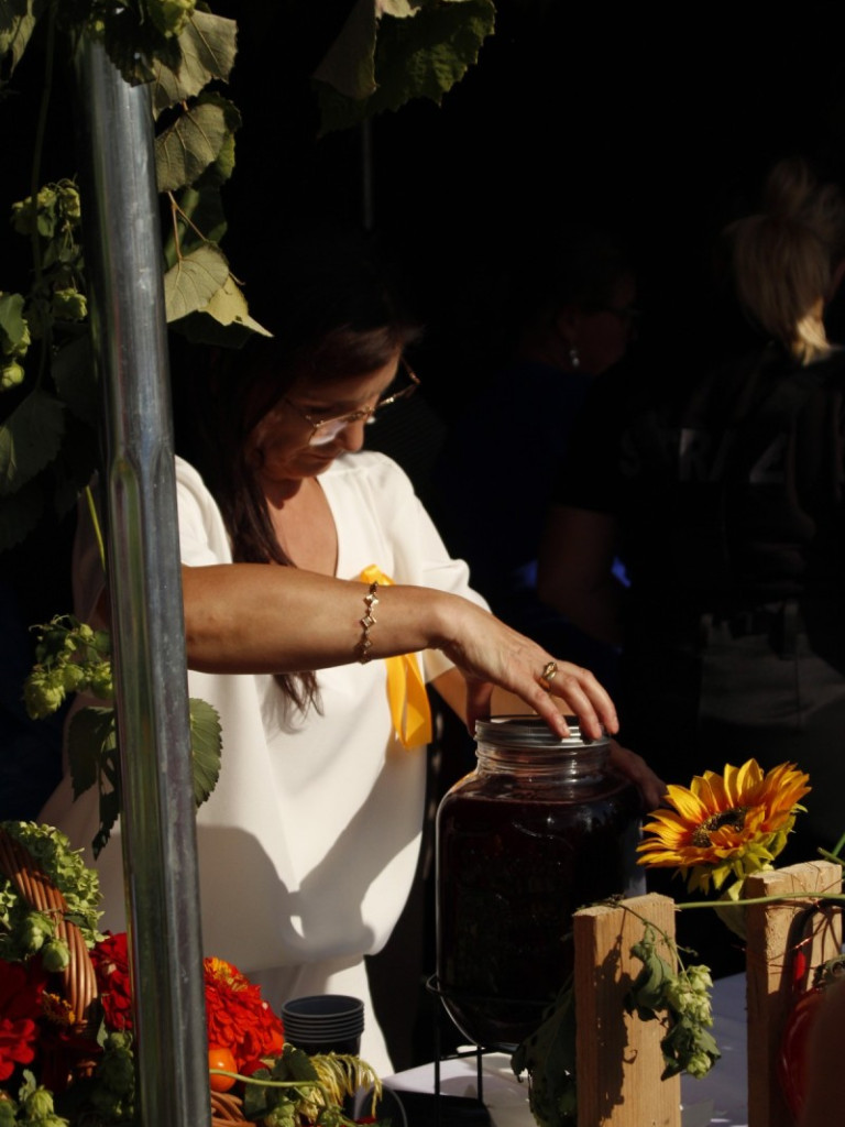 Dożynki w Wiskitkach