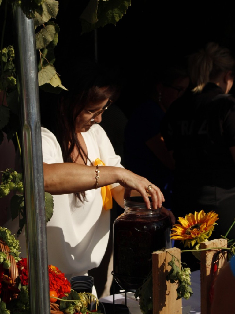 Dożynki w Wiskitkach