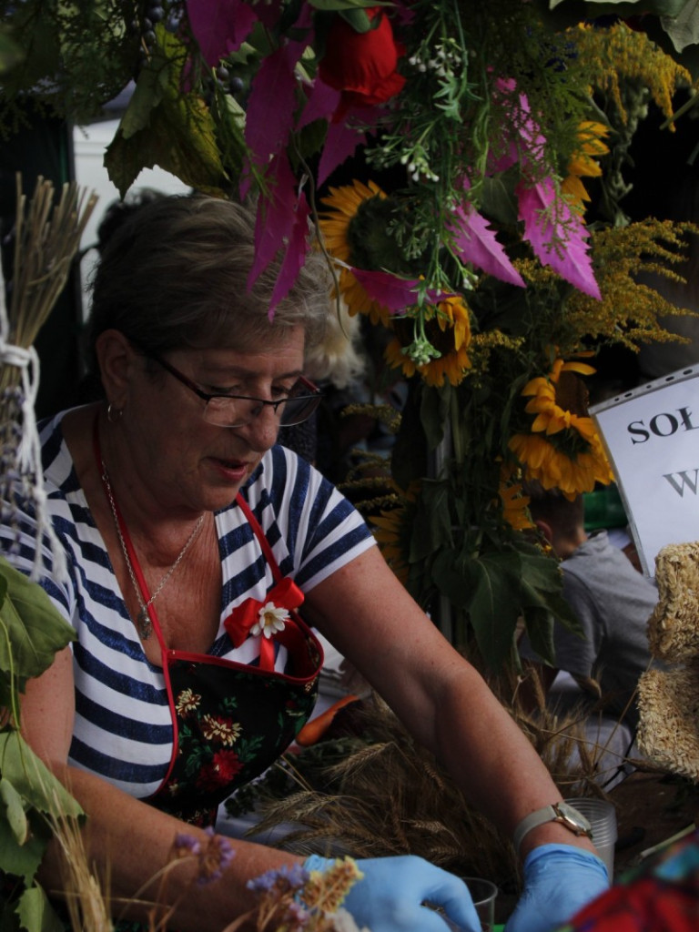 Dożynki w Wiskitkach