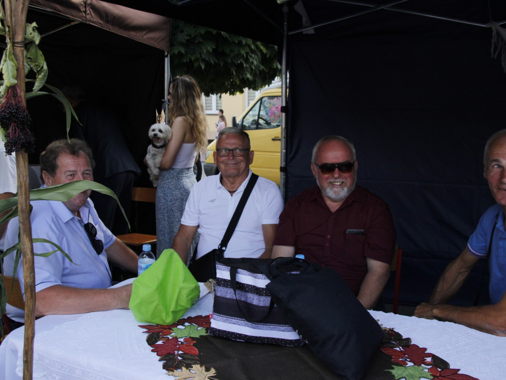 Dożynki w Wiskitkach