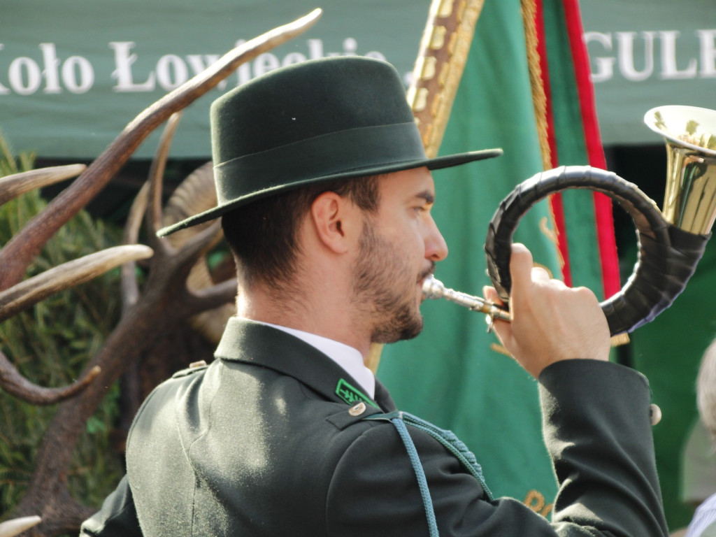 Dożynki w Wiskitkach