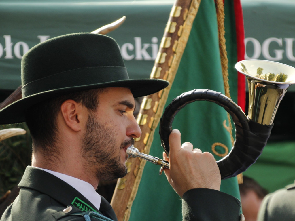 Dożynki w Wiskitkach