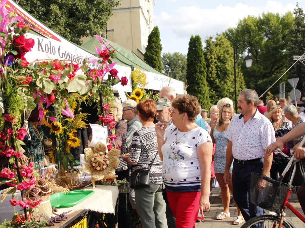 Dożynki w Wiskitkach