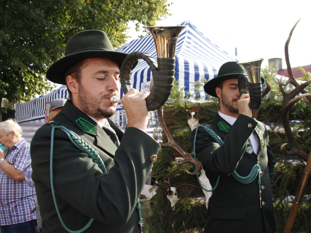 Dożynki w Wiskitkach