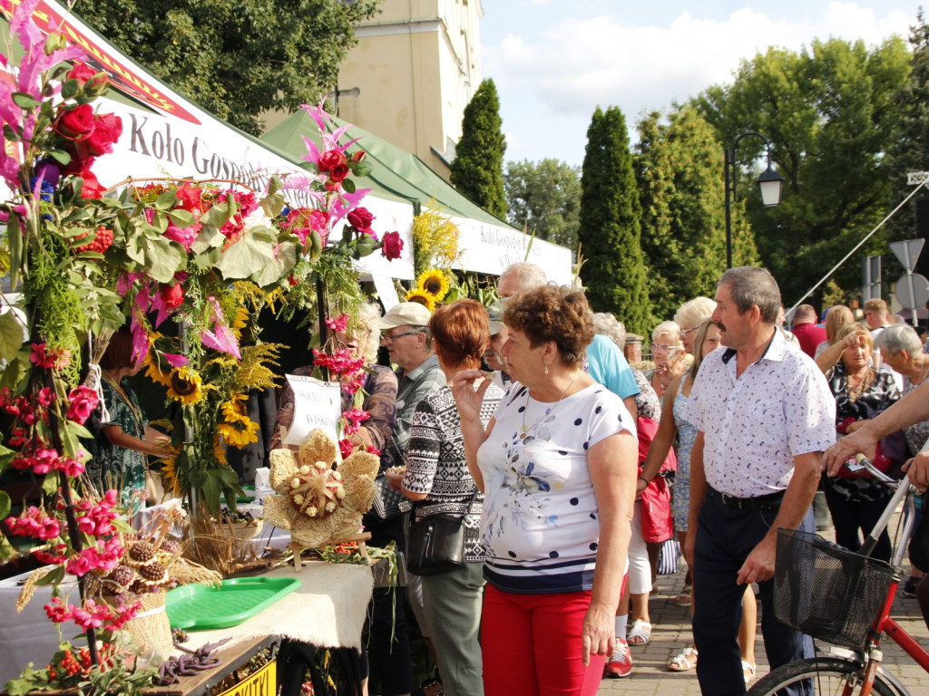 Dożynki w Wiskitkach