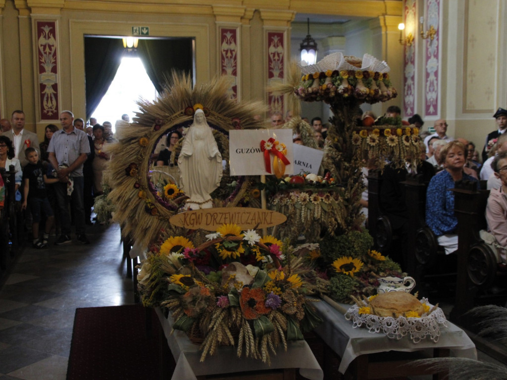 Dożynki w Wiskitkach