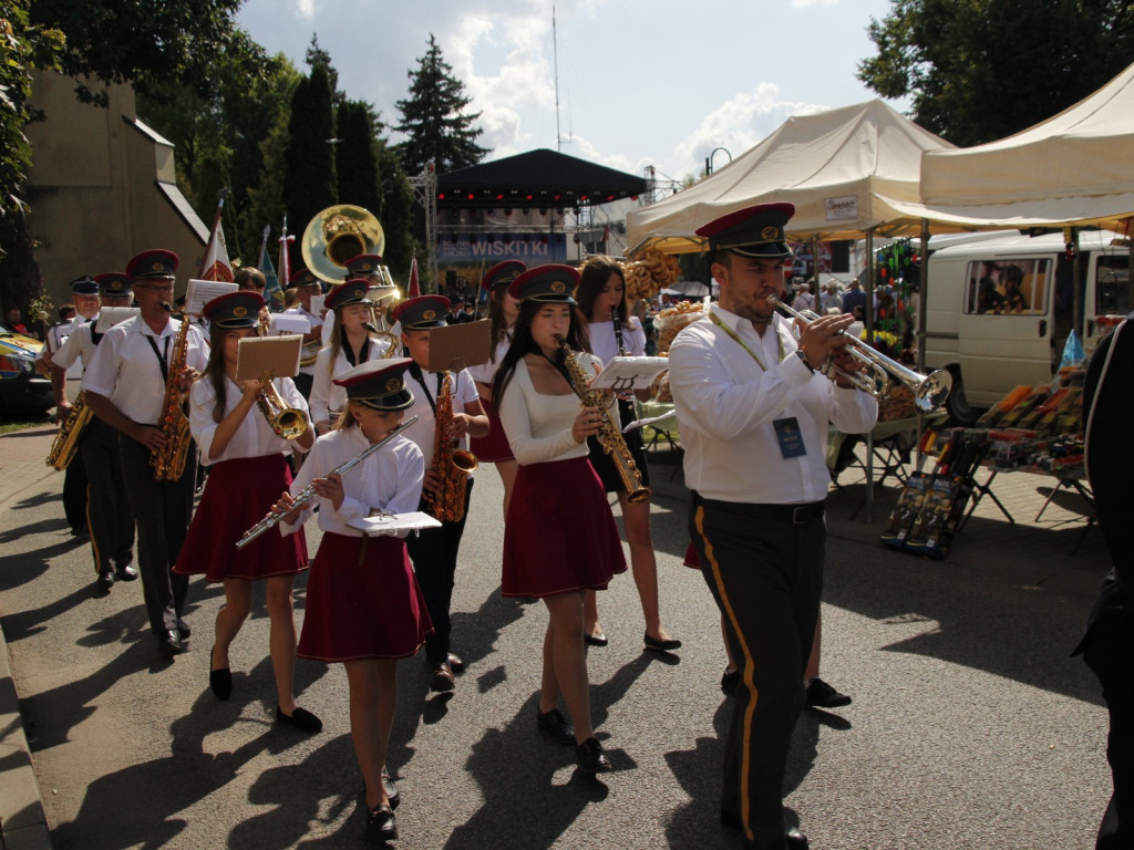Dożynki w Wiskitkach
