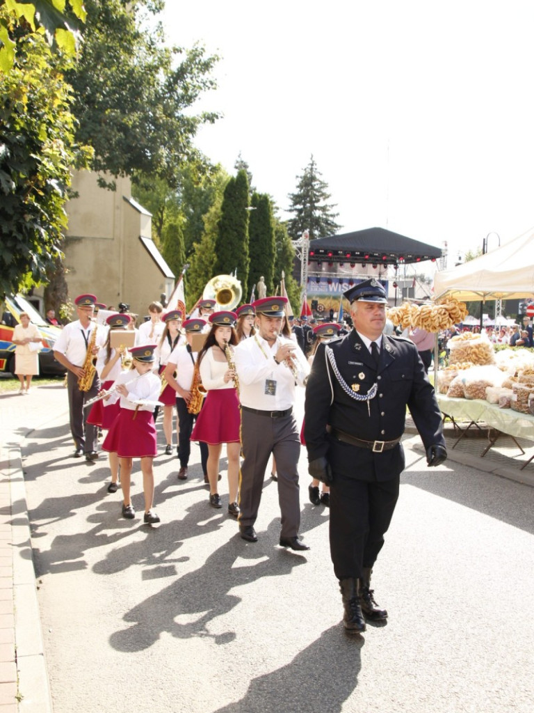 Dożynki w Wiskitkach