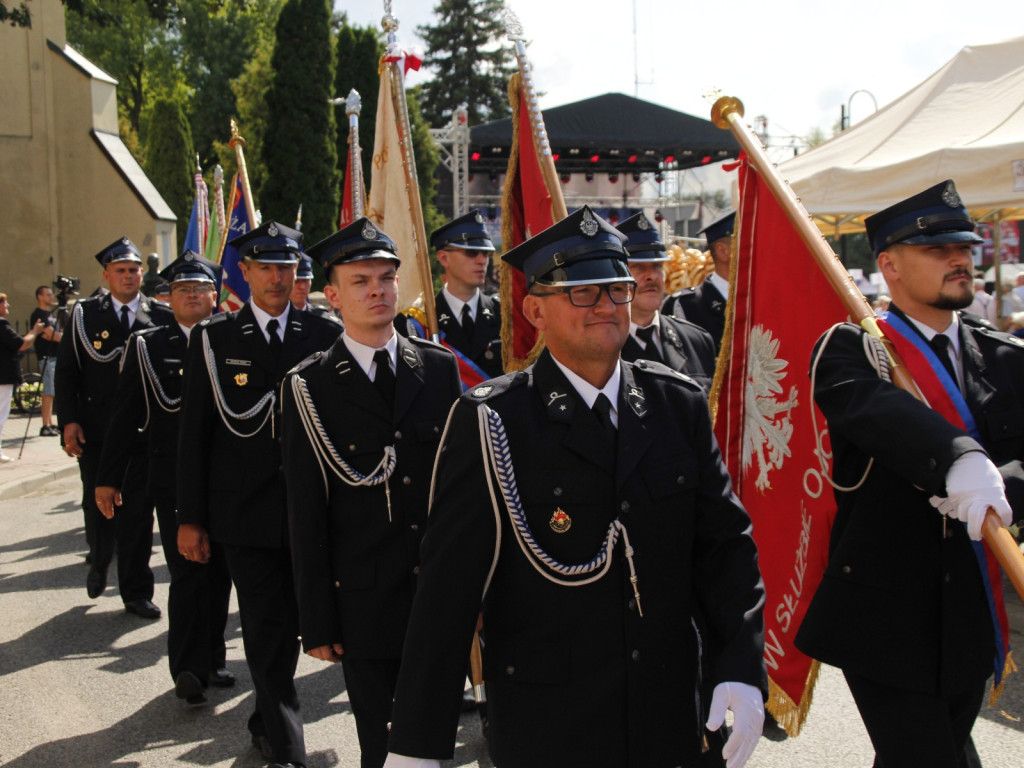 Dożynki w Wiskitkach