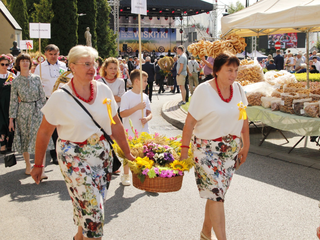 Dożynki w Wiskitkach