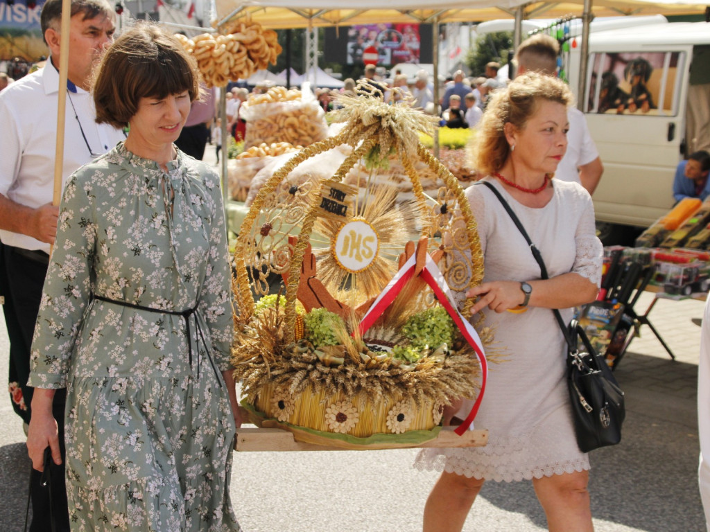 Dożynki w Wiskitkach