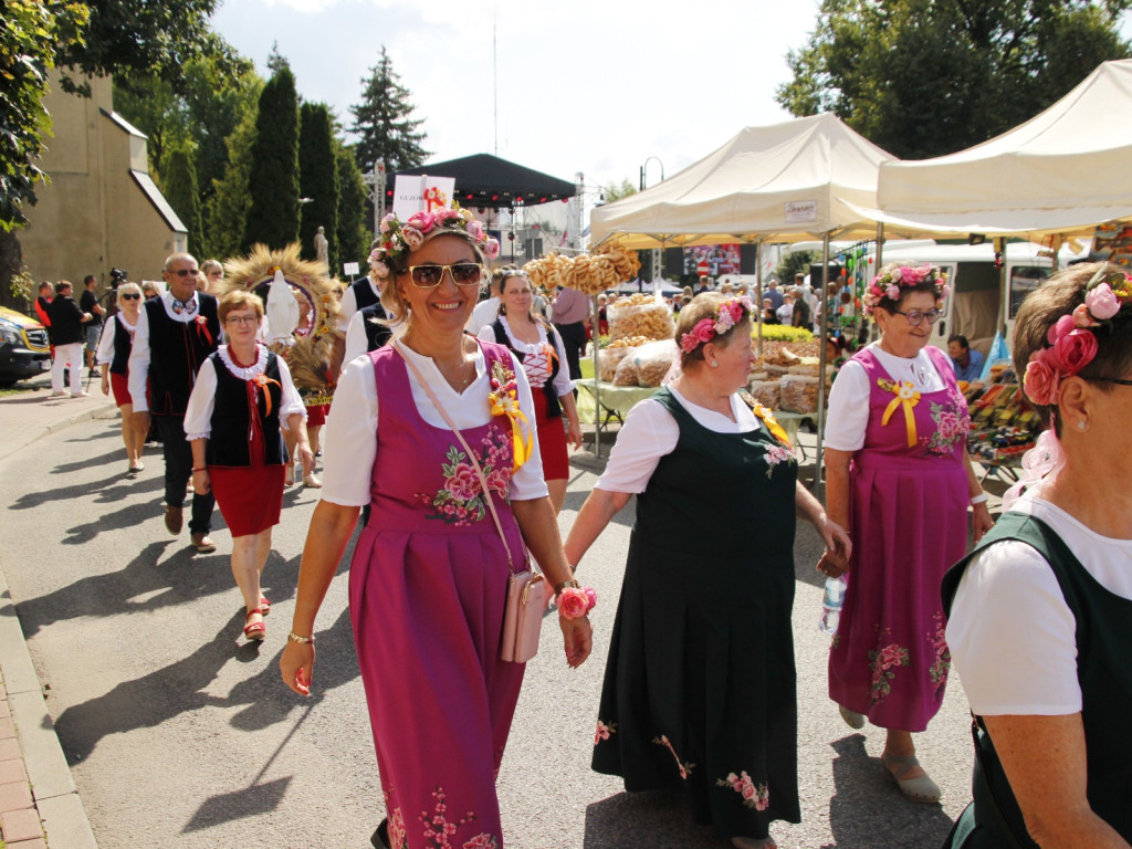 Dożynki w Wiskitkach