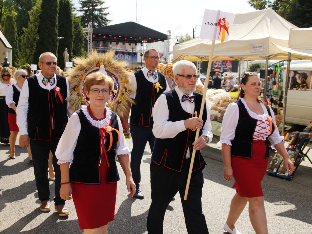 Dożynki w Wiskitkach