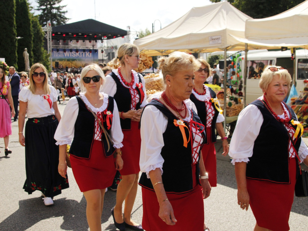 Dożynki w Wiskitkach