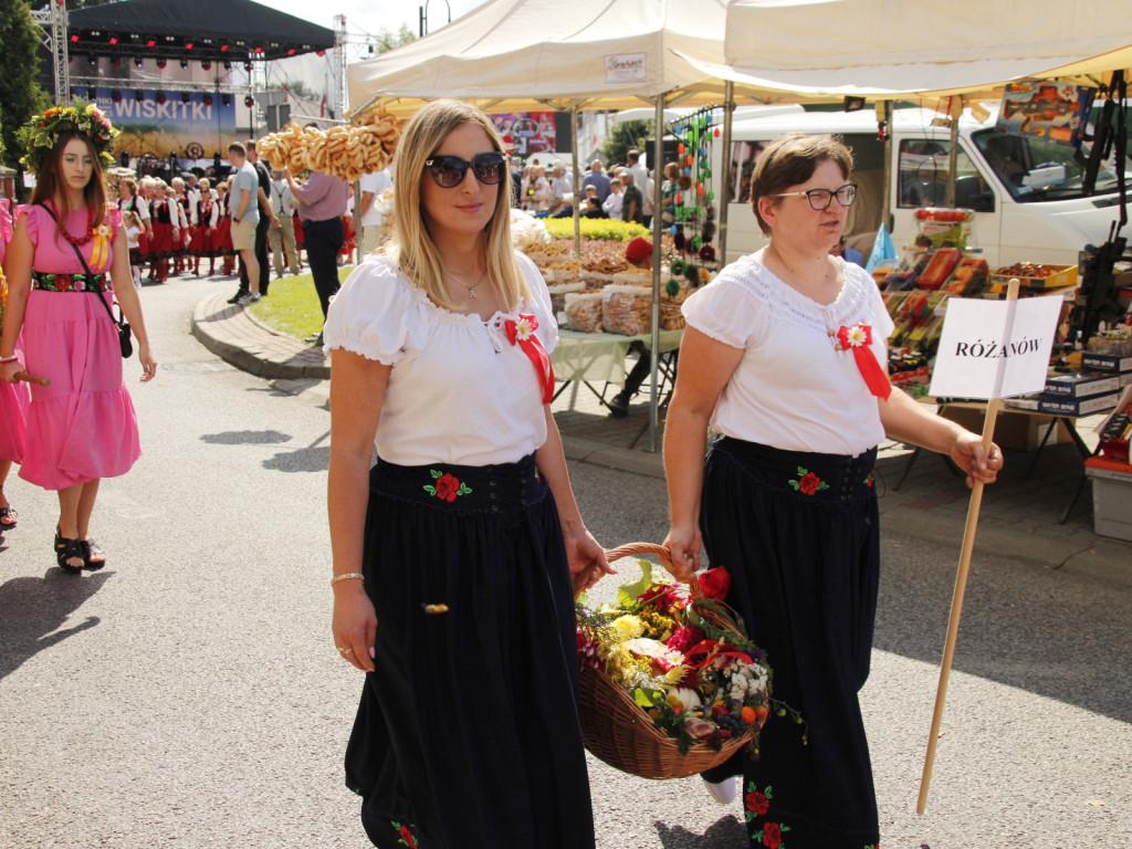 Dożynki w Wiskitkach