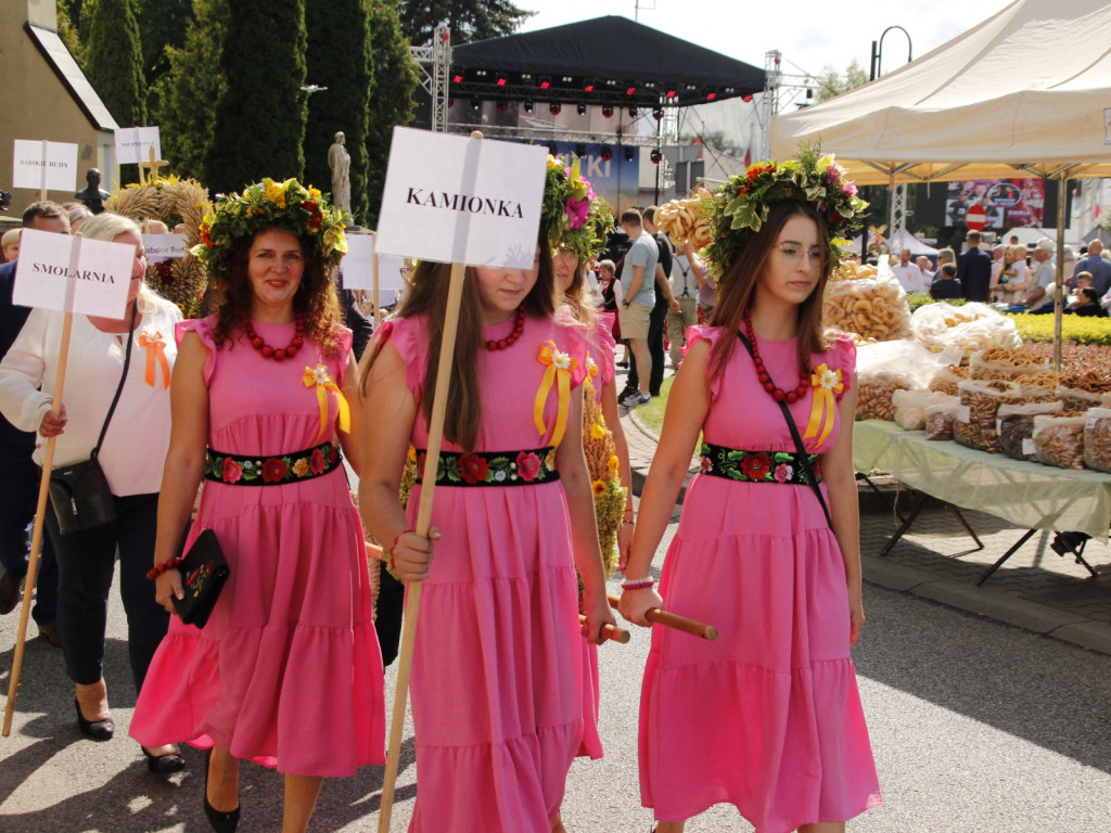 Dożynki w Wiskitkach