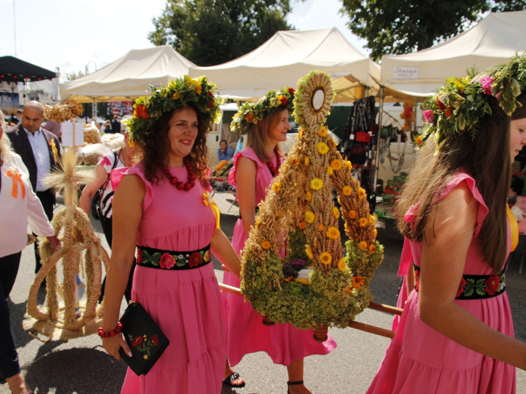 Dożynki w Wiskitkach