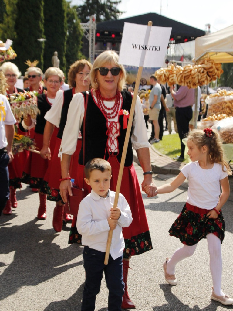 Dożynki w Wiskitkach