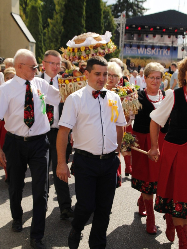 Dożynki w Wiskitkach