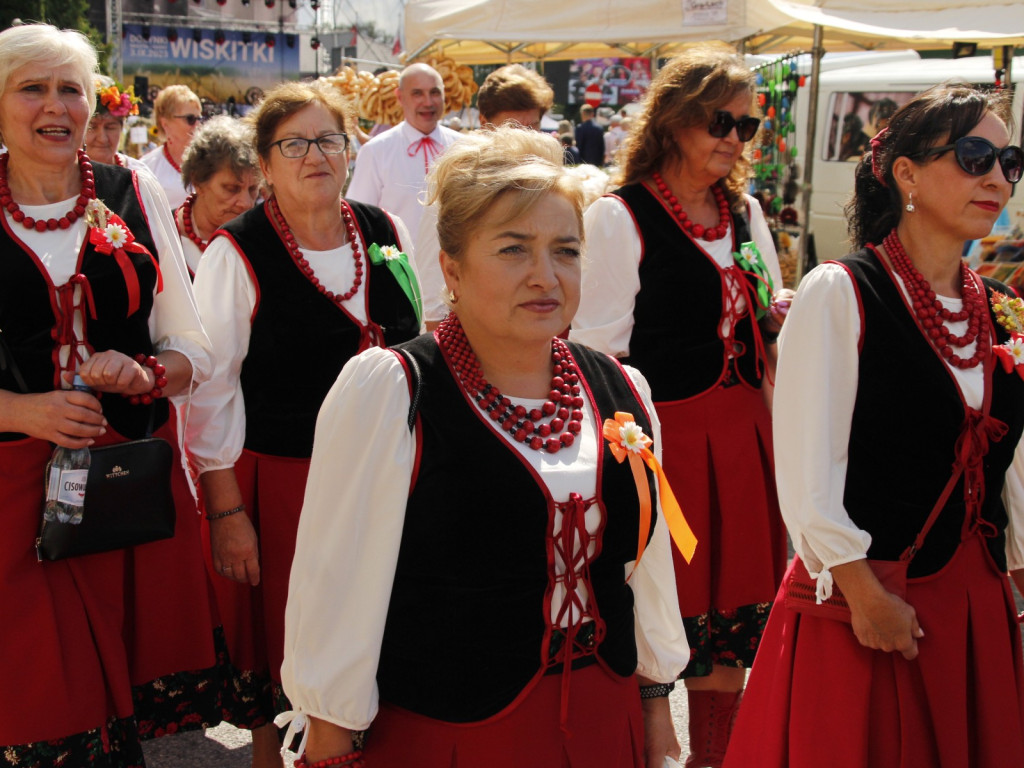 Dożynki w Wiskitkach