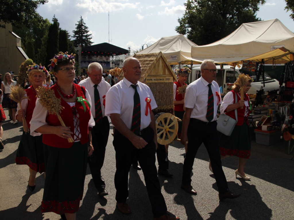 Dożynki w Wiskitkach