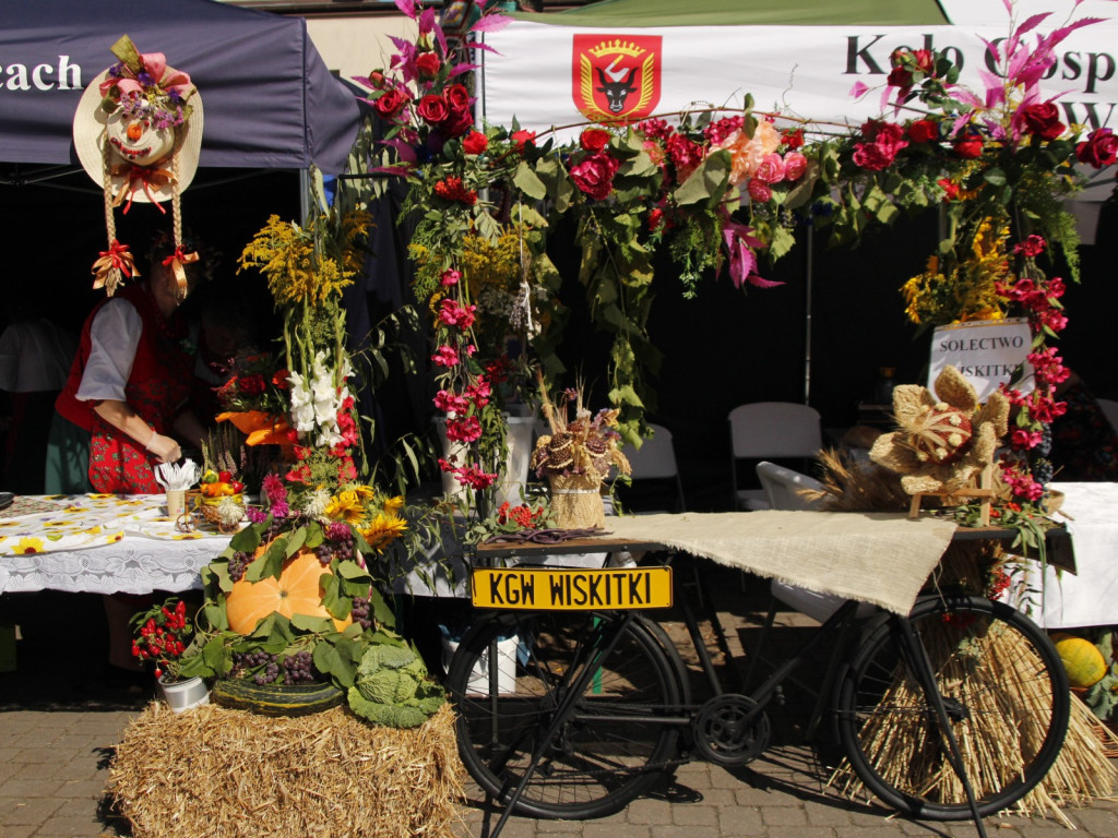 Dożynki w Wiskitkach