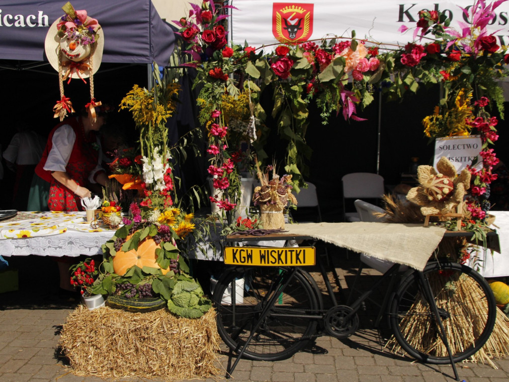 Dożynki w Wiskitkach