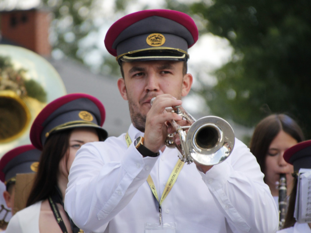 Dożynki w Wiskitkach