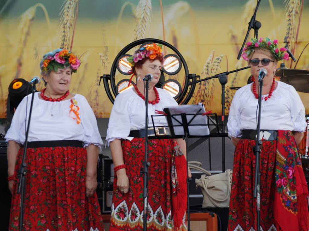 Dożynki w Wiskitkach