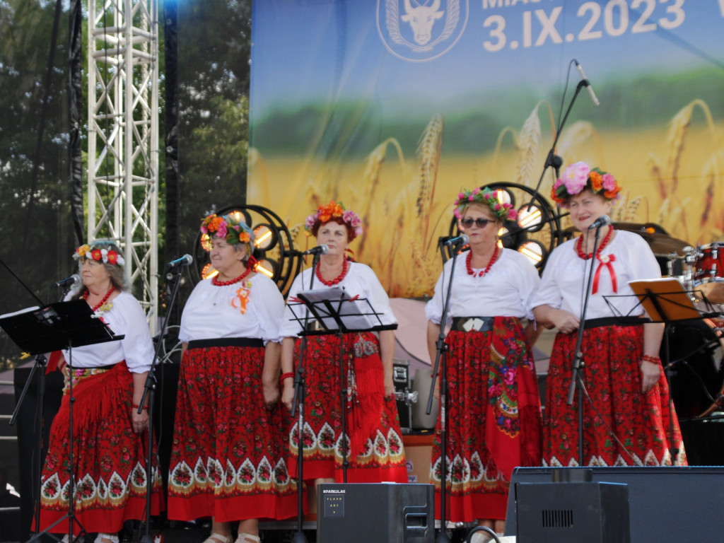 Dożynki w Wiskitkach