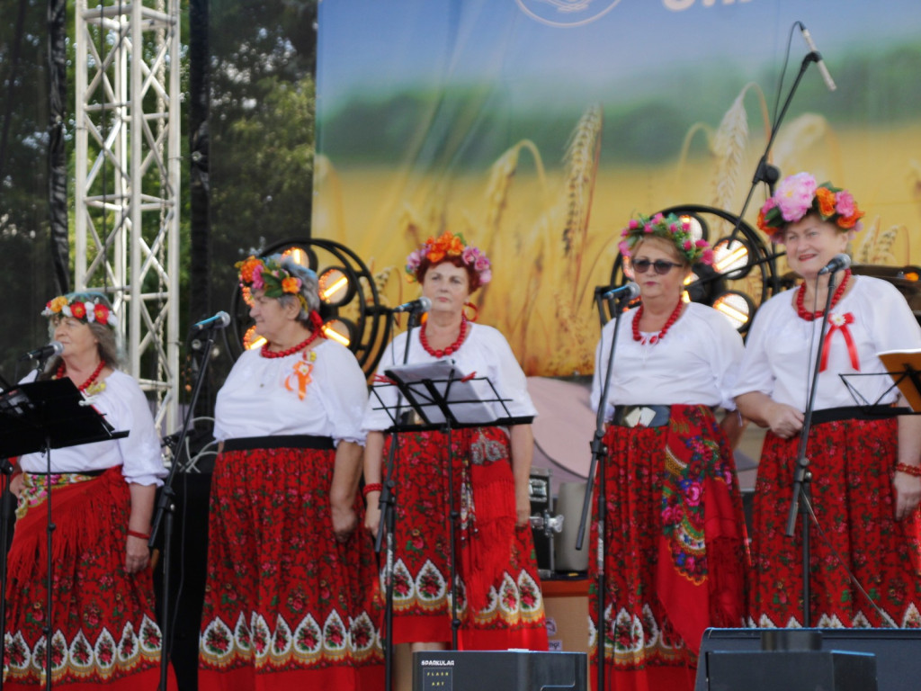 Dożynki w Wiskitkach