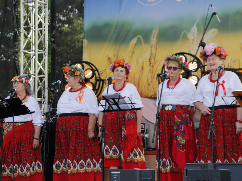 Dożynki w Wiskitkach