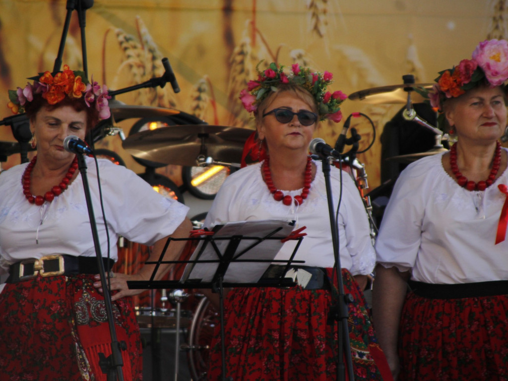 Dożynki w Wiskitkach