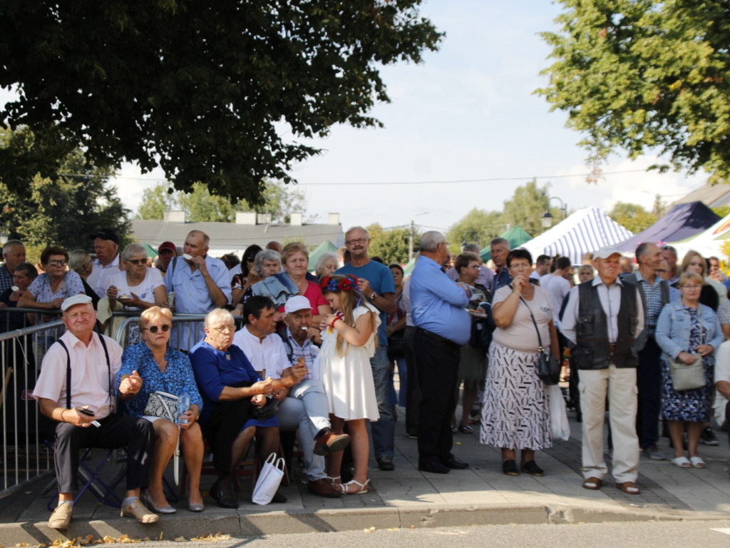 Dożynki w Wiskitkach