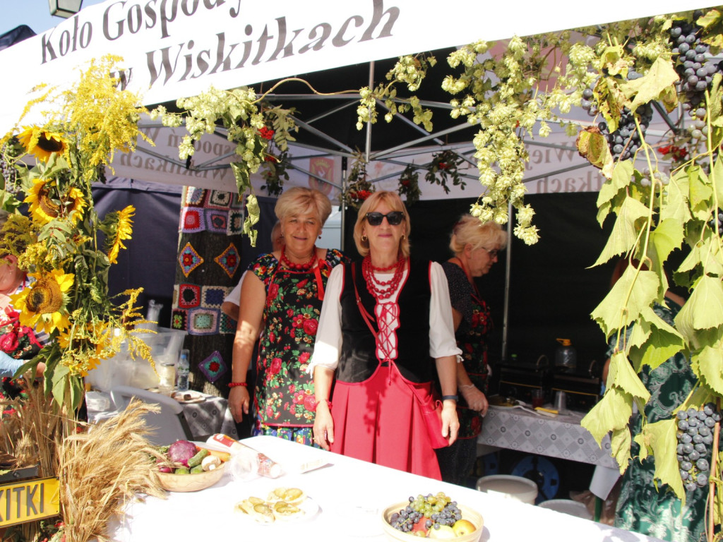 Dożynki w Wiskitkach