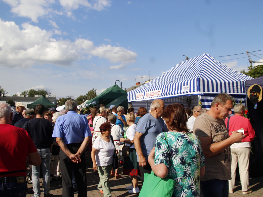 Dożynki w Wiskitkach