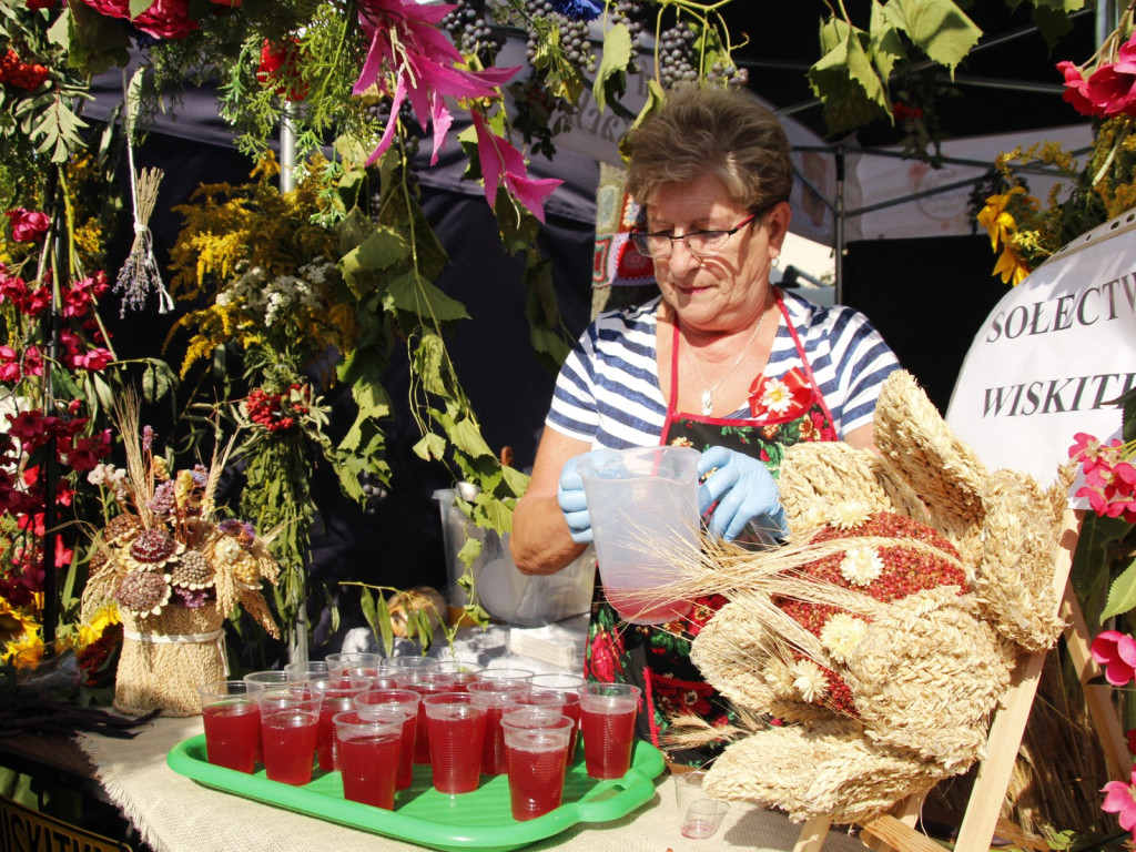 Dożynki w Wiskitkach