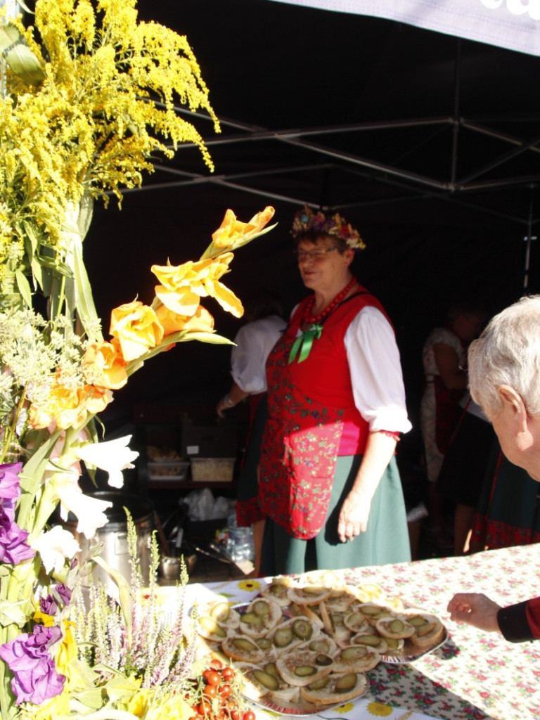 Dożynki w Wiskitkach