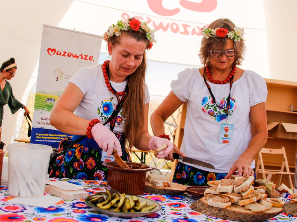 MAZOpiknik w Żyrardowie