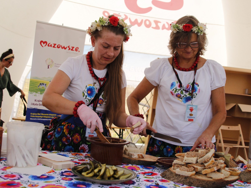 MAZOpiknik w Żyrardowie