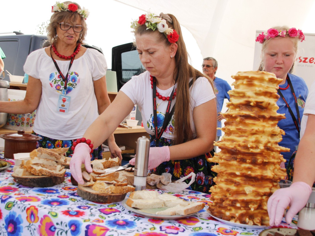 MAZOpiknik w Żyrardowie